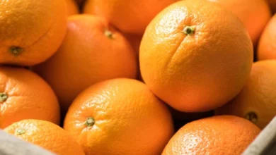 Photo of गर्मियों की शुरुआत से ही करने लगे संतरे का सेवन, मिलेंगे ये बेहतरीन फायदे