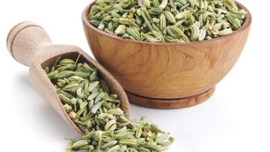 Photo of Health Tips: सेहत के लिए बहुत लाभकारी है रोजाना एक चम्मच सौंफ का सेवन, मिलेंगे ये फायदें