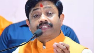 Photo of सपा के कार्यकाल में हर तरफ लूट ही लूट हुई : नंद गोपाल नंदी