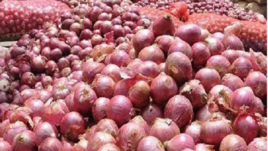 Photo of एक बार फिर से आम आदमी को प्याज रुला रही है,त्योहार से पहले महंगाई ने चढ़ाया पारा