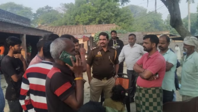 Photo of कलयुगी बेटे ने अपने माता-पिता को फावड़े से काट डाला,पढ़े पूरी खबर