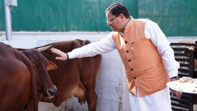 Photo of मुख्यमंत्री धामी ने किया गायों का पूजन…