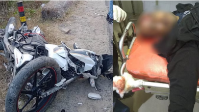 Photo of दुगड्डा मार्ग पर युवक अचानक हाथी को देख घबराया,हुआ ये हादसा…