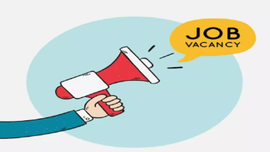 Photo of एनआईओएस में विभिन्न पदों पर अब 5वीं से लेकर ग्रेजुएट तक के अभ्यर्थी कर सकते भर्ती में अप्लाई!