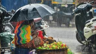 Photo of मौसम विभाग: यूपी में मौसम विभाग ने ठंडक को लेकर की भविष्यवाणी