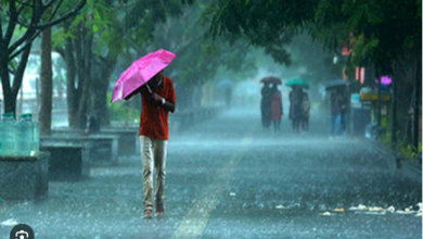 Photo of लखनऊ में बारिश के साथ हवा के झोंके ने बढ़ाई ठंड !