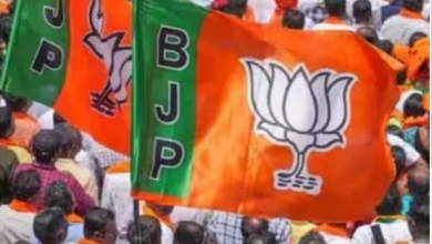 Photo of मिशन 24:महिला वोटर को साधने के लिए BJP का प्लान, क्षेत्रों में भेजेगी विस्तारक