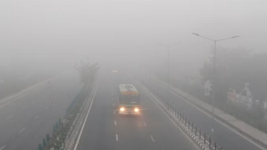 Photo of हरिद्वार और ऊधमसिंह नगर में घने कोहरे की चेतावनी