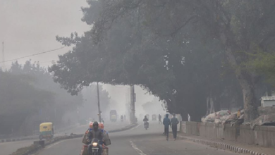 Photo of नए साल की शुरुआत कड़ाके की ठंड के साथ..