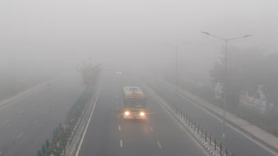 Photo of उत्तराखंड मोसम:खूब सता रहा कोहरा… हरिद्वार और ऊधमसिंहनगर में येलो अलर्ट