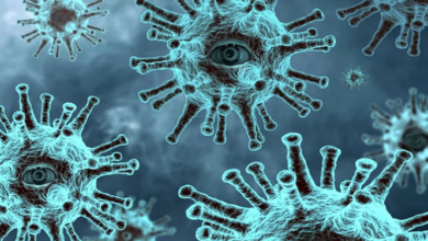 Photo of उत्तराखंड:ढाई साल की बच्ची इन्फ्लुएंजा-ए के साथ ही एच-1 एन-1 पॉजिटिव