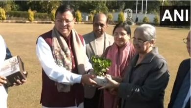 Photo of विशेषज्ञ समिति ने सीएम धामी को सौंपी मसौदा रिपोर्ट