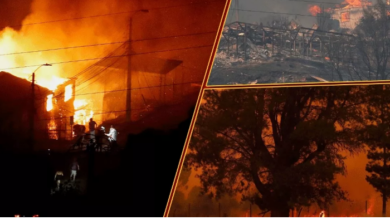 Photo of  चिली में 2010 के भूकंप के बाद आई सबसे भीषण आपदा, जंगल की आग में अबतक 112 लोगों की मौत