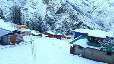 Photo of फिर ठंड से कांपा उत्तराखंड…पहाड़ से मैदान तक बारिश