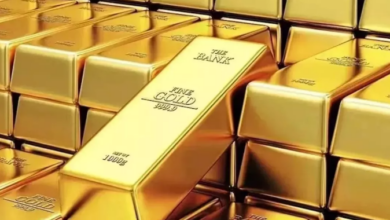 Photo of कनाडा में हुई सोने की अबतक की सबसे बड़ी चोरी