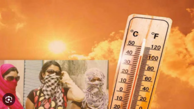 Photo of दिल्ली: मौसम विभाग ने ‘लू’ को लेकर जारी किया ‘अलर्ट’ जारी