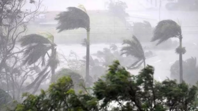 Photo of रेमल चक्रवात ने असम में भी मचाई तबाही, भारी बारिश से 2 की मौत और 17 घायल