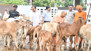 Photo of चुनावी शोर शराबे के थमने के साथ गुरु दर्शन, गोसेवा और बालप्रेम में रमे रहे CM योगी