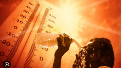Photo of लू के थपेड़ों से बेहाल दिल्ली : आज आसमान में छाये रहेंगे बादल, गिरेंगी राहत की बूंदें