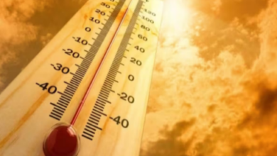 Photo of उफ…ये गर्मी: जून में 121 साल बाद 42 डिग्री पार पहुंचा देहरादून का तापमान