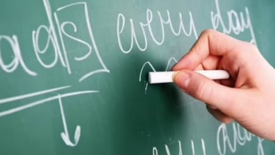 Photo of उत्तराखंड: गलत तथ्यों पर डीएलएड कर शिक्षक भर्ती में शामिल होने की होगी जांच