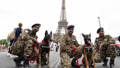 Photo of Paris Olympic की सुरक्षा में भारत के Trained Dogs निभाएंगे भूमिका