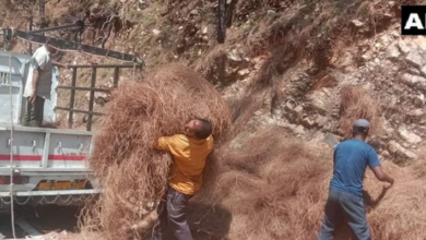 Photo of उत्तराखंड: 50 रुपये प्रति किग्रा की दर से पिरूल खरीद का प्रस्ताव तैयार