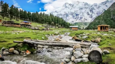 Photo of हिमाचल का चालाल गांव है 2 दिन के रिलैक्सिंग वीकेंड के लिए बेहतरीन जगह!