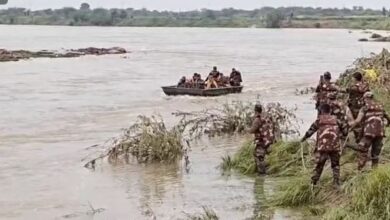 Photo of चंबल में बारिश थमी, नादिया उफान पर, टापू बने दर्जनों गांव फंसे लोगों को सेना ने सुरक्षित बाहर निकाला