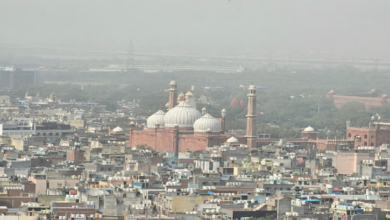 Photo of  पाकिस्तान से आई धूल भरी आंधी ने घोला जहर, AQI में भारी वृद्धि; सांस के रोगी परेशान