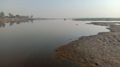 Photo of दिल्ली : नवंबर तक अतिक्रमण मुक्त होगा यमुना नदी का डूब क्षेत्र