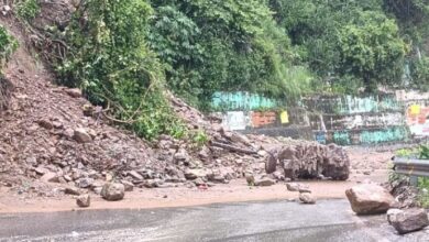 Photo of उत्तराखंड में नदियों का बढ़ा जलस्तर,सड़कों पर गिरे भारी पेड़