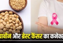 Photo of क्या सोयाबीन खाने से बढ़ता है ब्रेस्ट कैंसर का खतरा?