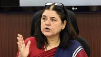 Photo of उत्तराखंड: बीजेपी नेता मेनका गांधी ने वन महकमे की भूमिका पर उठाए सवाल