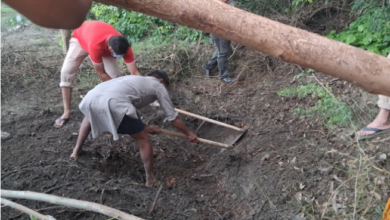 Photo of पैसों के लिए दोस्त को मार गड्ढे में दबाया, बिहार से धान लगाने आए थे सभी