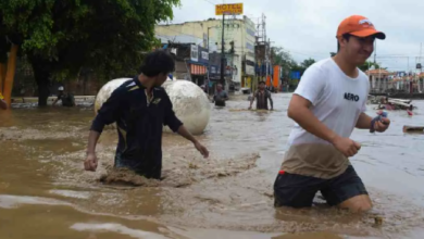 Photo of मेक्सिको में बारिश से ‘त्राहिमाम’, बाढ़ से 41 की मौत; तेज बहाव में कई लापता