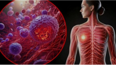 Photo of हाई-फैट कीटो डाइट बढ़ा सकती है ब्रेस्ट कैंसर का खतरा