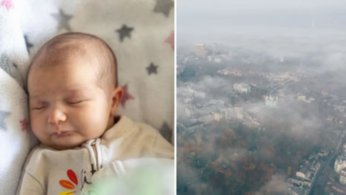 Photo of वायु प्रदूषण बिगाड़ रहा नवजात के दिमागी विकास की रफ्तार