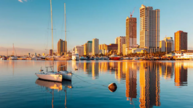 Photo of एयर इंडिया की नॉन-स्टॉप फ्लाइट से अब सीधा पहुंचें फिलिपींस