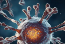 Photo of बिना कीमो के कैंसर सेल्स को नष्ट करने की जगी उम्मीद