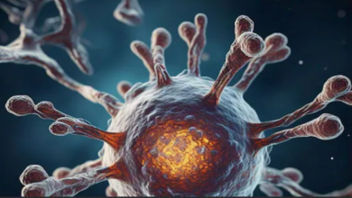 Photo of बिना कीमो के कैंसर सेल्स को नष्ट करने की जगी उम्मीद