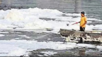 Photo of दिल्ली में डिटर्जेंट और गंदे पानी ने बिगाड़ी यमुना की हालत