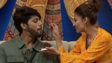 Photo of नेहल चुडास्मा के बसीर अली को लेकर बदले सुर, डेटिंग पर दिया शॉकिंग बयान