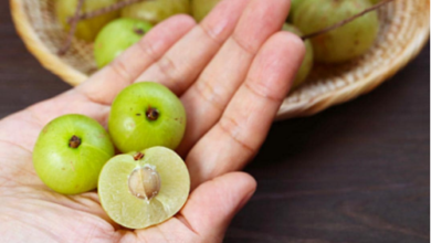 Photo of आंवला खाने के फायदे तो हैं बेशुमार, पर  हो सकता है सेहत को नुकसान