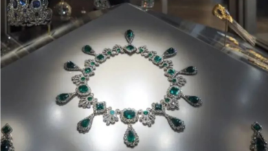 Photo of फ्रांस में फिल्मी स्टाइल में चोरी, म्यूजियम से 800 करोड़ के गहने गायब