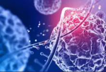 Photo of कैंसर के शुरुआत में नजर आते हैं ये 5 लक्षण