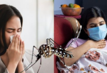 Photo of वायरल और डेंगू बुखार में क्या है अंतर? ऐसे करे पहचान