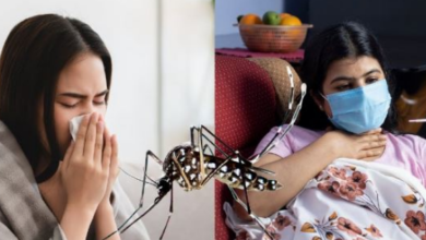Photo of वायरल और डेंगू बुखार में क्या है अंतर? ऐसे करे पहचान
