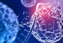 Photo of अब बैक्टीरिया को ‘हैक’ करके होगा कैंसर का इलाज जाने कैसे