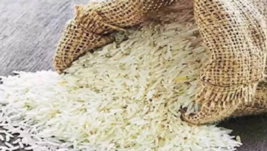 Photo of भारत ने चावल निर्यात कर महंगाई पर लगा दी लगाम, 39% तक हुआ सस्ता